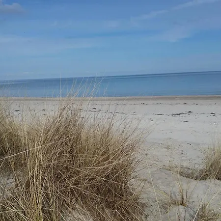 Dom wakacyjny Ostseetraum